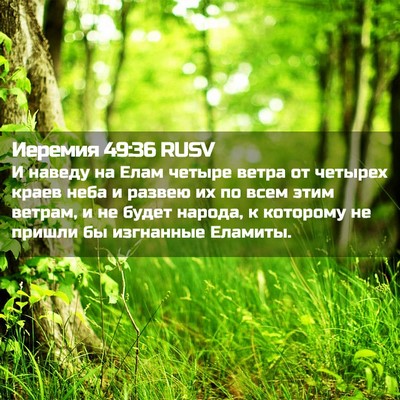 Picture 02 - Иеремия 49:36 RUSV - И наведу на Елам четыре - Bible Verse Picture