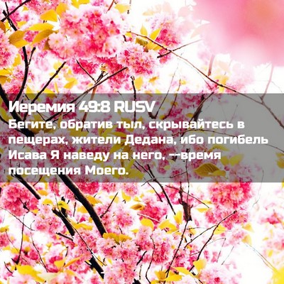Picture 02 - Иеремия 49:8 RUSV - Бегите, обратив тыл, - Bible Verse Picture