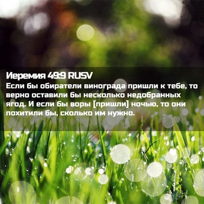 Picture 02 - Иеремия 49:9 RUSV - Если бы обиратели - Bible Verse Picture