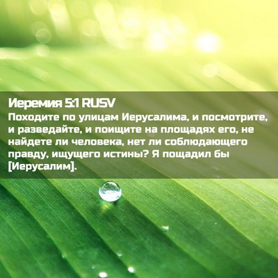 Picture 02 - Иеремия 5:1 RUSV - Походите по улицам - Bible Verse Picture