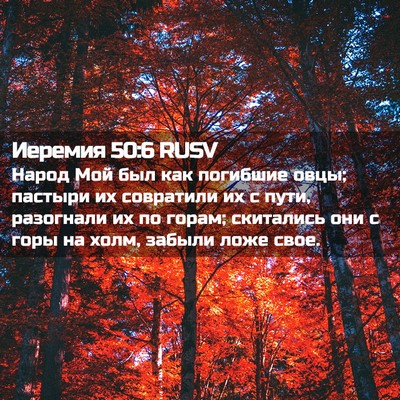 Picture 02 - Иеремия 50:6 RUSV - Народ Мой был как погибшие - Bible Verse Picture