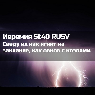 Picture 02 - Иеремия 51:40 RUSV - Сведу их как ягнят на - Bible Verse Picture