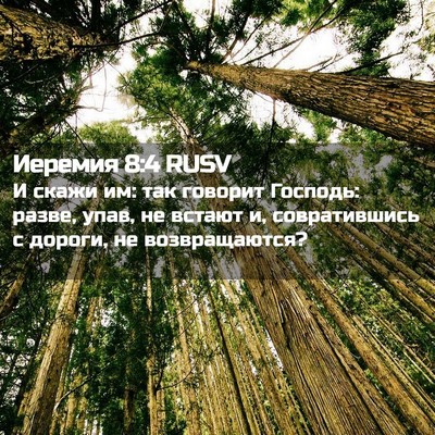 Picture 02 - Иеремия 8:4 RUSV - И скажи им: так говорит - Bible Verse Picture
