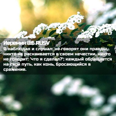 Picture 02 - Иеремия 8:6 RUSV - Я наблюдал и слушал: не - Bible Verse Picture