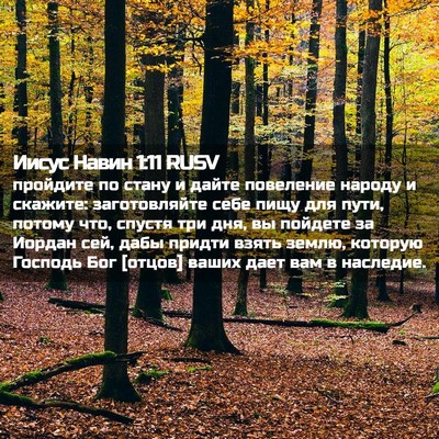 Picture 02 - Иисус Навин 1:11 RUSV - пройдите по стану и дайте - Bible Verse Picture
