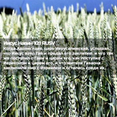 Picture 02 - Иисус Навин 10:1 RUSV - Когда Адониседек, царь - Bible Verse Picture