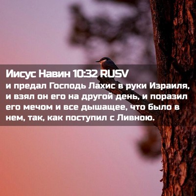 Picture 02 - Иисус Навин 10:32 RUSV - и предал Господь Лахис в - Bible Verse Picture