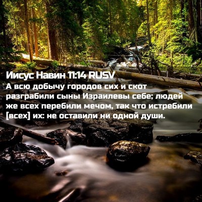 Picture 02 - Иисус Навин 11:14 RUSV - А всю добычу городов сих и - Bible Verse Picture