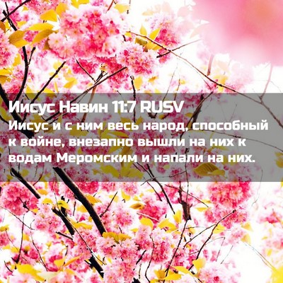 Picture 02 - Иисус Навин 11:7 RUSV - Иисус и с ним весь народ, - Bible Verse Picture
