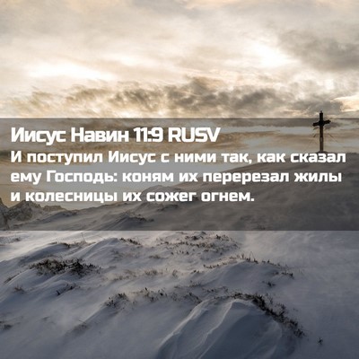 Picture 02 - Иисус Навин 11:9 RUSV - И поступил Иисус с ними - Bible Verse Picture