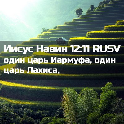 Picture 02 - Иисус Навин 12:11 RUSV - один царь Иармуфа, один - Bible Verse Picture