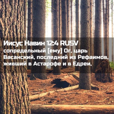 Picture 02 - Иисус Навин 12:4 RUSV - сопредельный [ему] Ог, царь - Bible Verse Picture