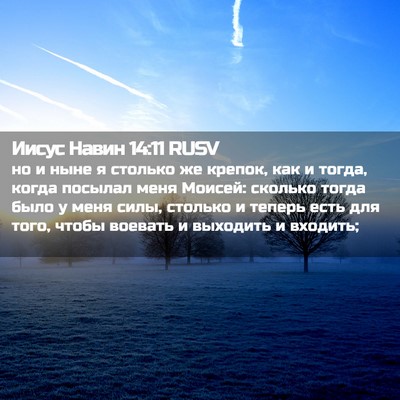Picture 02 - Иисус Навин 14:11 RUSV - но и ныне я столько же - Bible Verse Picture