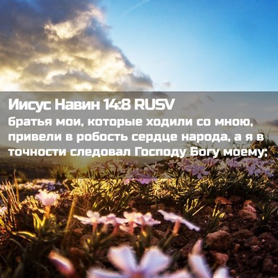 Picture 02 - Иисус Навин 14:8 RUSV - братья мои, которые ходили - Bible Verse Picture