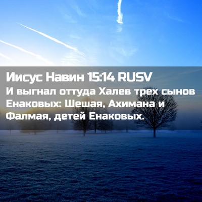 Picture 02 - Иисус Навин 15:14 RUSV - И выгнал оттуда Халев трех - Bible Verse Picture