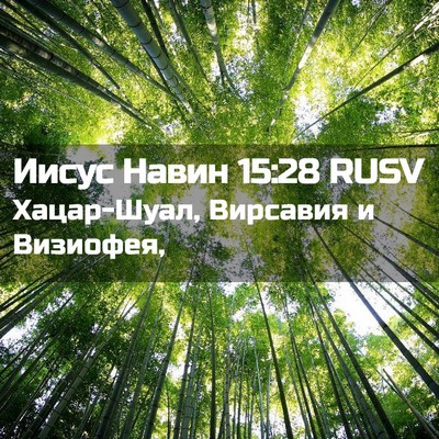 Picture 02 - Иисус Навин 15:28 RUSV - Хацар-Шуал, Вирсавия и - Bible Verse Picture