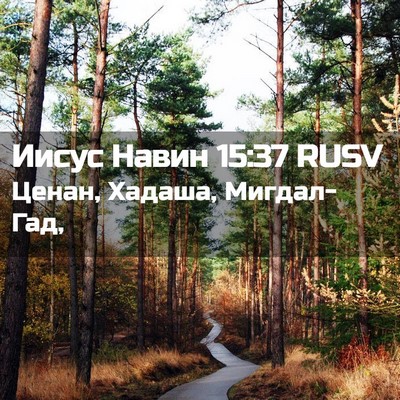 Picture 02 - Иисус Навин 15:37 RUSV - Ценан, Хадаша, - Bible Verse Picture