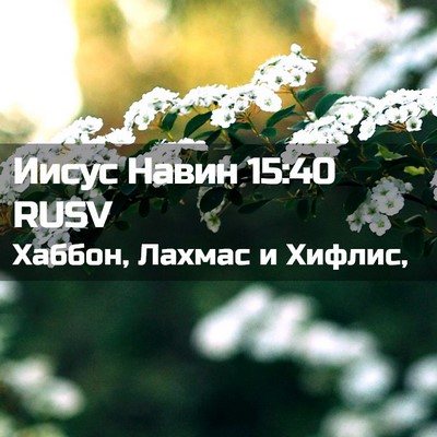Picture 02 - Иисус Навин 15:40 RUSV - Хаббон, Лахмас и - Bible Verse Picture
