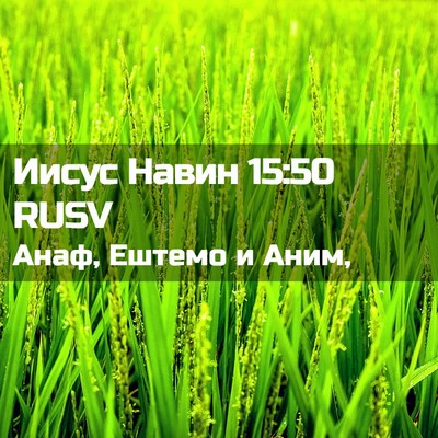 Picture 02 - Иисус Навин 15:50 RUSV - Анаф, Ештемо и - Bible Verse Picture