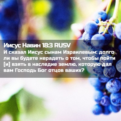 Picture 02 - Иисус Навин 18:3 RUSV - И сказал Иисус сынам - Bible Verse Picture