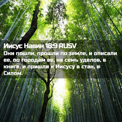 Picture 02 - Иисус Навин 18:9 RUSV - Они пошли, прошли по земле, - Bible Verse Picture