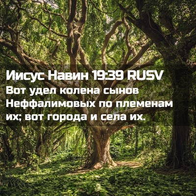 Picture 02 - Иисус Навин 19:39 RUSV - Вот удел колена сынов - Bible Verse Picture