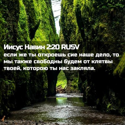 Picture 02 - Иисус Навин 2:20 RUSV - если же ты откроешь сие - Bible Verse Picture
