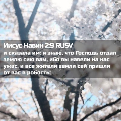 Picture 02 - Иисус Навин 2:9 RUSV - и сказала им: я знаю, что - Bible Verse Picture