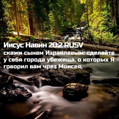Picture 02 - Иисус Навин 20:2 RUSV - скажи сынам Израилевым: - Bible Verse Picture