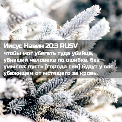Picture 02 - Иисус Навин 20:3 RUSV - чтобы мог убегать туда - Bible Verse Picture