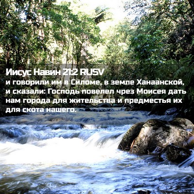 Picture 02 - Иисус Навин 21:2 RUSV - и говорили им в Силоме, в - Bible Verse Picture