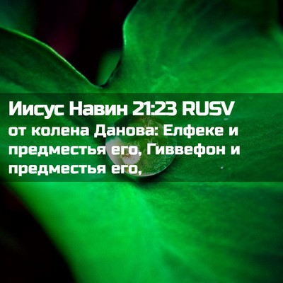 Picture 02 - Иисус Навин 21:23 RUSV - от колена Данова: Елфеке и - Bible Verse Picture