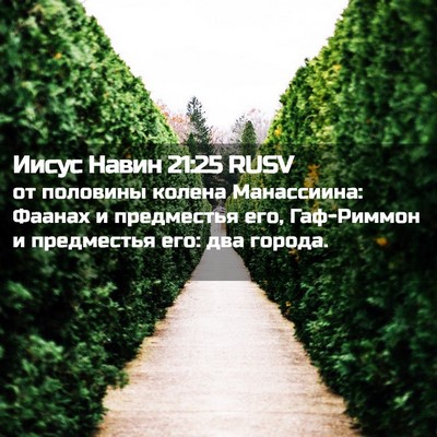 Picture 02 - Иисус Навин 21:25 RUSV - от половины колена - Bible Verse Picture