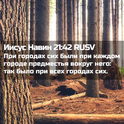 Picture 02 - Иисус Навин 21:42 RUSV - При городах сих были при - Bible Verse Picture