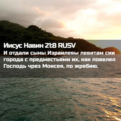Picture 02 - Иисус Навин 21:8 RUSV - И отдали сыны Израилевы - Bible Verse Picture