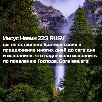 Picture 02 - Иисус Навин 22:3 RUSV - вы не оставляли братьев - Bible Verse Picture