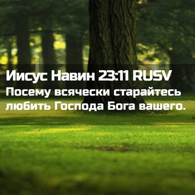 Picture 02 - Иисус Навин 23:11 RUSV - Посему всячески - Bible Verse Picture