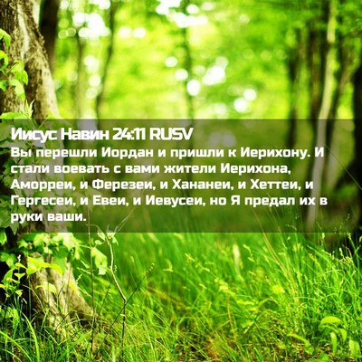Picture 02 - Иисус Навин 24:11 RUSV - Вы перешли Иордан и пришли - Bible Verse Picture