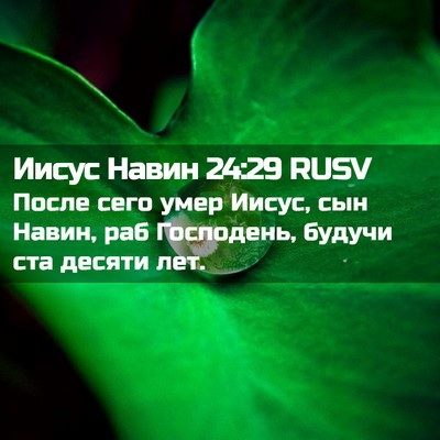 Picture 02 - Иисус Навин 24:29 RUSV - После сего умер Иисус, сын - Bible Verse Picture