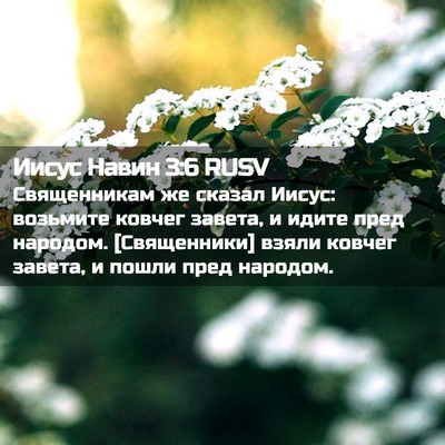 Picture 02 - Иисус Навин 3:6 RUSV - Священникам же сказал - Bible Verse Picture