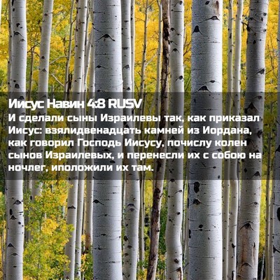 Picture 02 - Иисус Навин 4:8 RUSV - И сделали сыны Израилевы - Bible Verse Picture