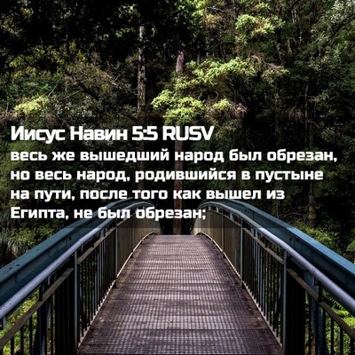 Picture 02 - Иисус Навин 5:5 RUSV - весь же вышедший народ был - Bible Verse Picture