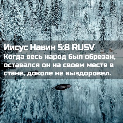 Picture 02 - Иисус Навин 5:8 RUSV - Когда весь народ был - Bible Verse Picture