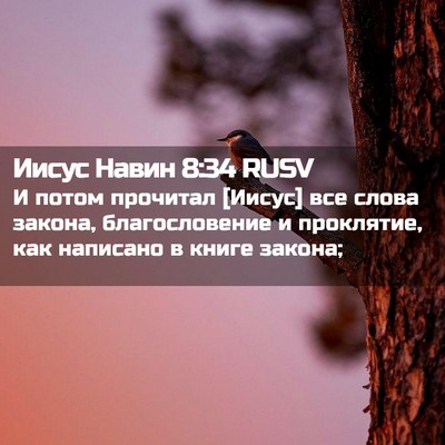 Picture 02 - Иисус Навин 8:34 RUSV - И потом прочитал [Иисус] - Bible Verse Picture