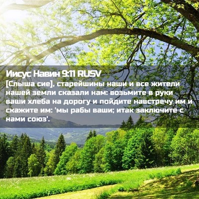 Picture 02 - Иисус Навин 9:11 RUSV - [Слыша сие], старейшины - Bible Verse Picture