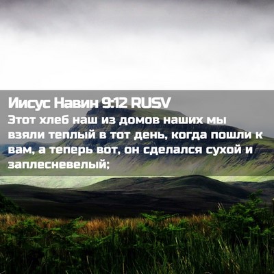 Picture 02 - Иисус Навин 9:12 RUSV - Этот хлеб наш из домов - Bible Verse Picture