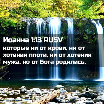 Picture 02 - Иоанна 1:13 RUSV - которые ни от крови, ни от - Bible Verse Picture