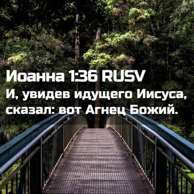 Picture 02 - Иоанна 1:36 RUSV - И, увидев идущего Иисуса, - Bible Verse Picture