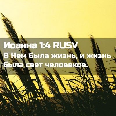 Picture 02 - Иоанна 1:4 RUSV - В Нем была жизнь, и жизнь - Bible Verse Picture