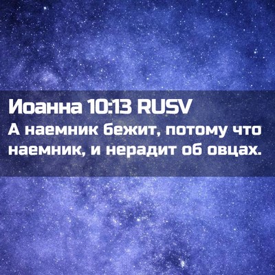 Picture 02 - Иоанна 10:13 RUSV - А наемник бежит, потому что - Bible Verse Picture
